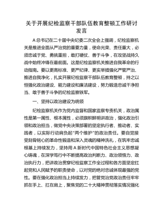 纪检监察干部队伍教育整顿工作研讨发言