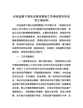 纪检监察干部队伍教育整顿工作推进情况阶段性汇报