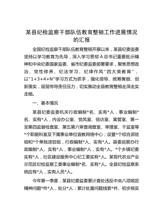 纪检监察干部队伍教育整顿工作进展情况（学习教育环节）总结汇报
