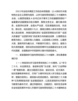学校共青团2023年工作要点