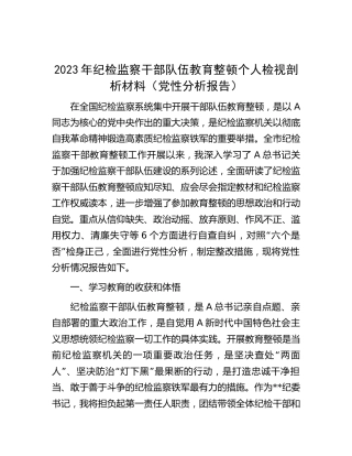 纪检监察干部队伍教育整顿个人检视剖析4600字（党性分析报告）