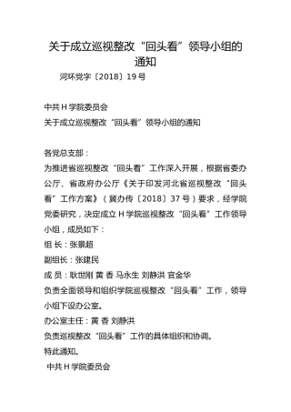 关于成立巡视整改“回头看”领导小组的通知
