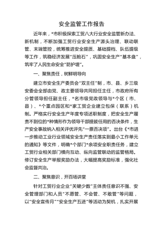 安全监管工作报告（市）