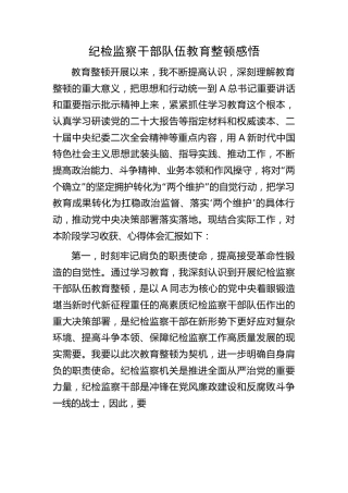 纪检监察干部队伍教育整顿感悟2600字