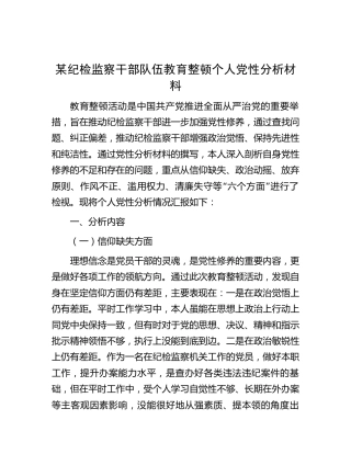 纪检监察干部队伍教育整顿个人党性分析3100字（六方面检视）