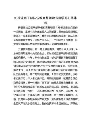 纪检监察干部队伍教育整顿读书班学习心得体会