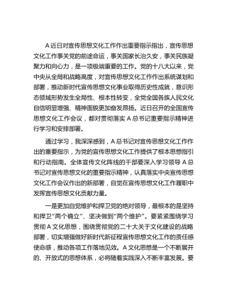 学习宣传思想文化工作重要指示心得体会发言