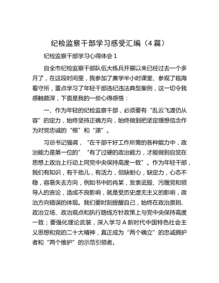 纪检监察干部大练兵心得体会4篇