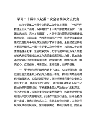 学习纪委二次全会精神研讨发言（心得体会）