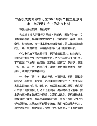 党支部书记在2023年第二批主题教育集中学习研讨会上的发言