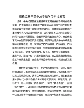 纪检监察干部参加专题学习研讨发言（青海）