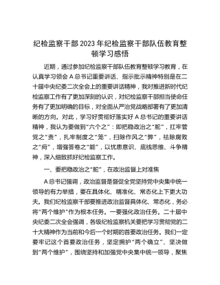 纪检监察干部2023年纪检监察干部队伍教育整顿心得体会（研讨）