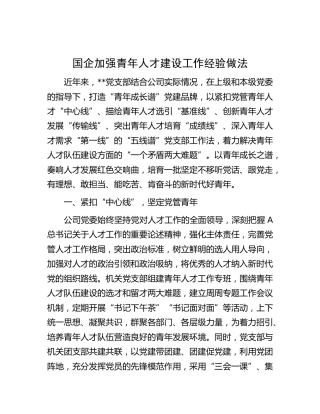 国企公司加强青年人才建设工作经验做法总结