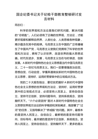 国企公司纪委书记教育整顿研讨发言
