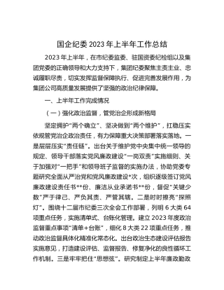 国企公司纪委2023年上半年工作总结