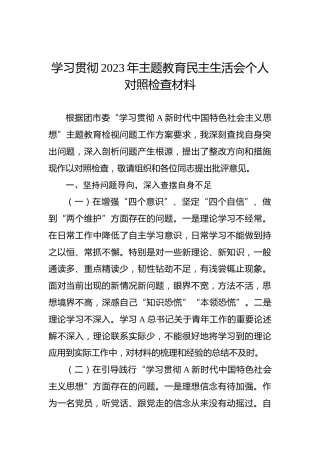 学习贯彻2023年主题教育民主生活会个人对照检查2900字