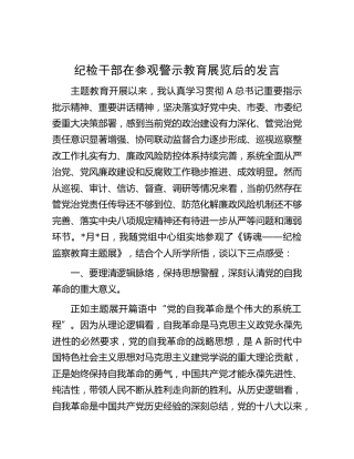 纪检干部在参观警示教育展览后的心得发言（结合主题教育、教育整顿）