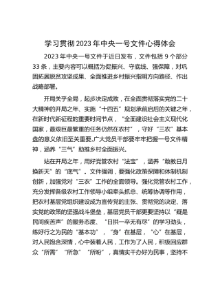 学习贯彻2023年一号文件心得体会