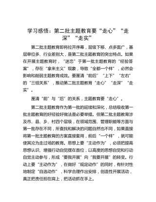 学习感悟：第二批主题教育要“走心”“走深”“走实”