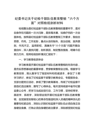 纪检干部队伍教育整顿“六个方面”对照检视剖析3200字（纪委书记）