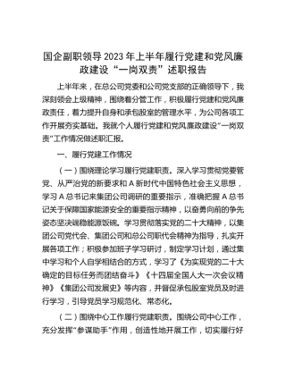国企公司副职2023年上半年履行党建和党风廉政建设“一岗双责”述职报告