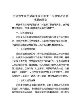 计划生育协会党支部关于巡察整改进展情况的总结报告4500字（卫健）