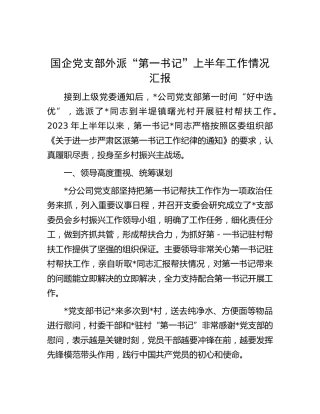 国企公司党支部外派“第一书记”上半年工作总结汇报