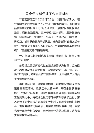 国企公司党支部党建工作经验交流材料