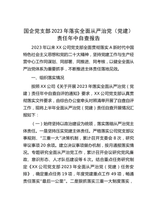 国企公司党支部2023年落实全面从严治党（党建）责任年中自查总结报告6000字