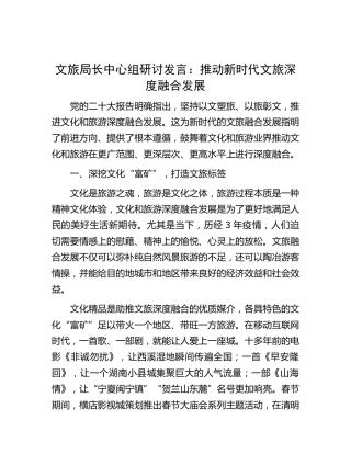 文旅系统中心组研讨发言：推动新时代文旅深度融合发展