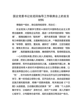 国企公司党委书记在巡回指导工作联席会上的发言