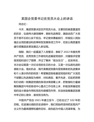 国企公司党委书记在党员大会上的讲话