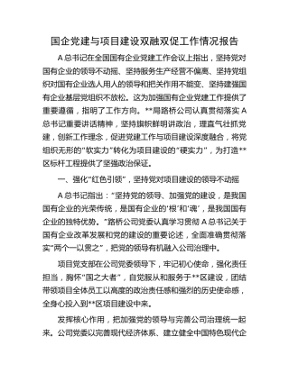 国企公司党建与项目建设双融双促工作情况报告