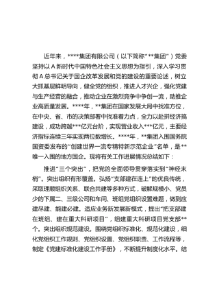 国企公司党建引领企业高质量发展典型经验总结汇报