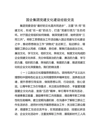 国企公司党建文化建设经验总结交流