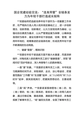 国企公司党建经验交流：“选育用管”全链条发力 为年轻干部打造成长矩阵