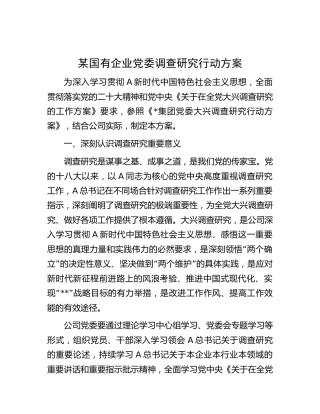 国企公司大兴调查研究行动方案4400字