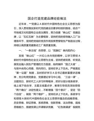 国企公司打造党建品牌经验做法