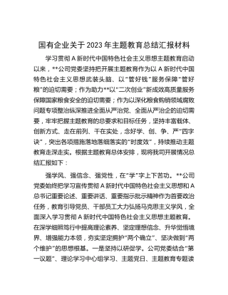 国企公司2023年主题教育总结汇报3100字