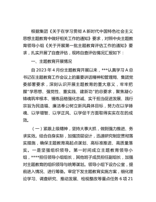 国企公司2023年主题教育自查评估总结报告4000字