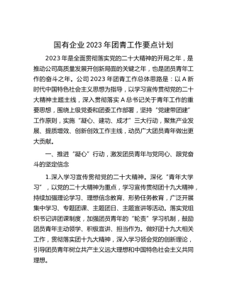 国企公司2023年团青工作要点计划
