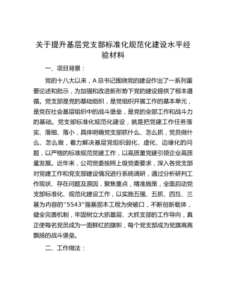 提升基层党支部标准化规范化建设水平经验总结