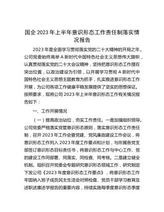 国企公司2023年上半年意识形态工作责任制落实情况总结报告