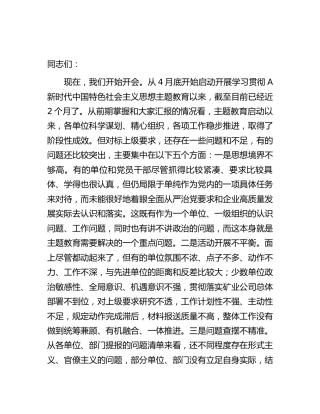 在巡回指导组主题教育专题推进会上的讲话