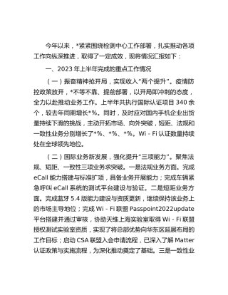 国企公司2023年上半年工作情况汇报