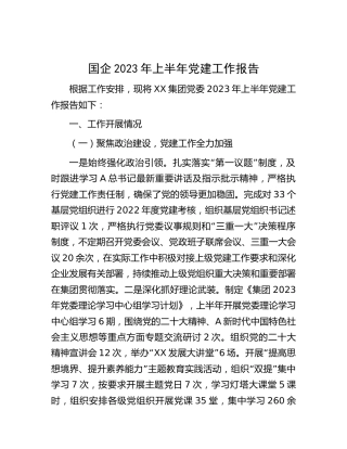 国企公司2023年上半年党建工作总结报告