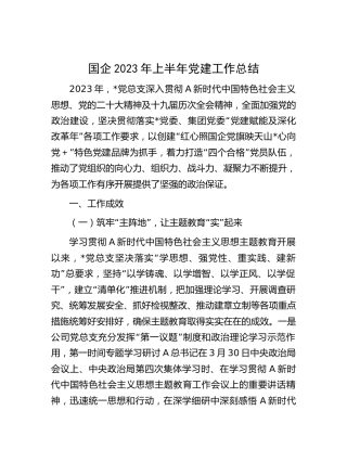 国企公司2023年上半年党建工作总结