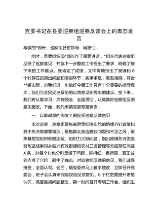 在巡察组巡察反馈会上的表态发言（乡镇）