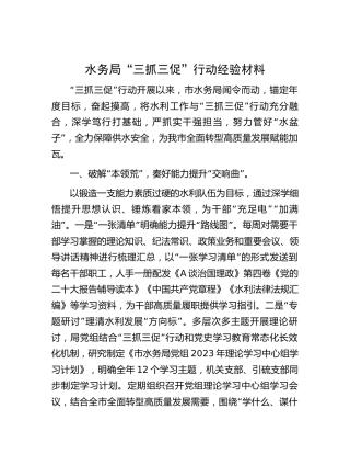 水务局“三抓三促”行动经验总结2600字