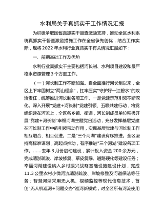 水利系统真抓实干工作情况汇报